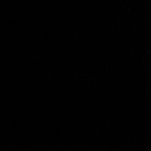 Meet your Posher, Ruthie